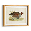 Morris Faisans I - Morris | Cuadro decorativo de Canvas Lab