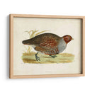 Morris Faisans I - Morris | Cuadro decorativo de Canvas Lab