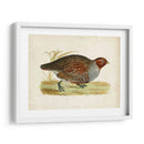 Morris Faisans I - Morris | Cuadro decorativo de Canvas Lab