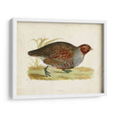 Morris Faisans I - Morris | Cuadro decorativo de Canvas Lab