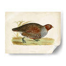 Morris Faisans I - Morris | Cuadro decorativo de Canvas Lab