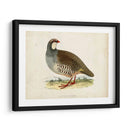 Morris Pheasants Ii - Morris | Cuadro decorativo de Canvas Lab