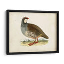 Morris Pheasants Ii - Morris | Cuadro decorativo de Canvas Lab