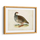 Morris Pheasants Ii - Morris | Cuadro decorativo de Canvas Lab