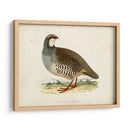 Morris Pheasants Ii - Morris | Cuadro decorativo de Canvas Lab