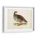 Morris Pheasants Ii - Morris | Cuadro decorativo de Canvas Lab