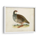 Morris Pheasants Ii - Morris | Cuadro decorativo de Canvas Lab