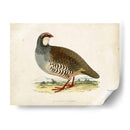 Morris Pheasants Ii - Morris | Cuadro decorativo de Canvas Lab