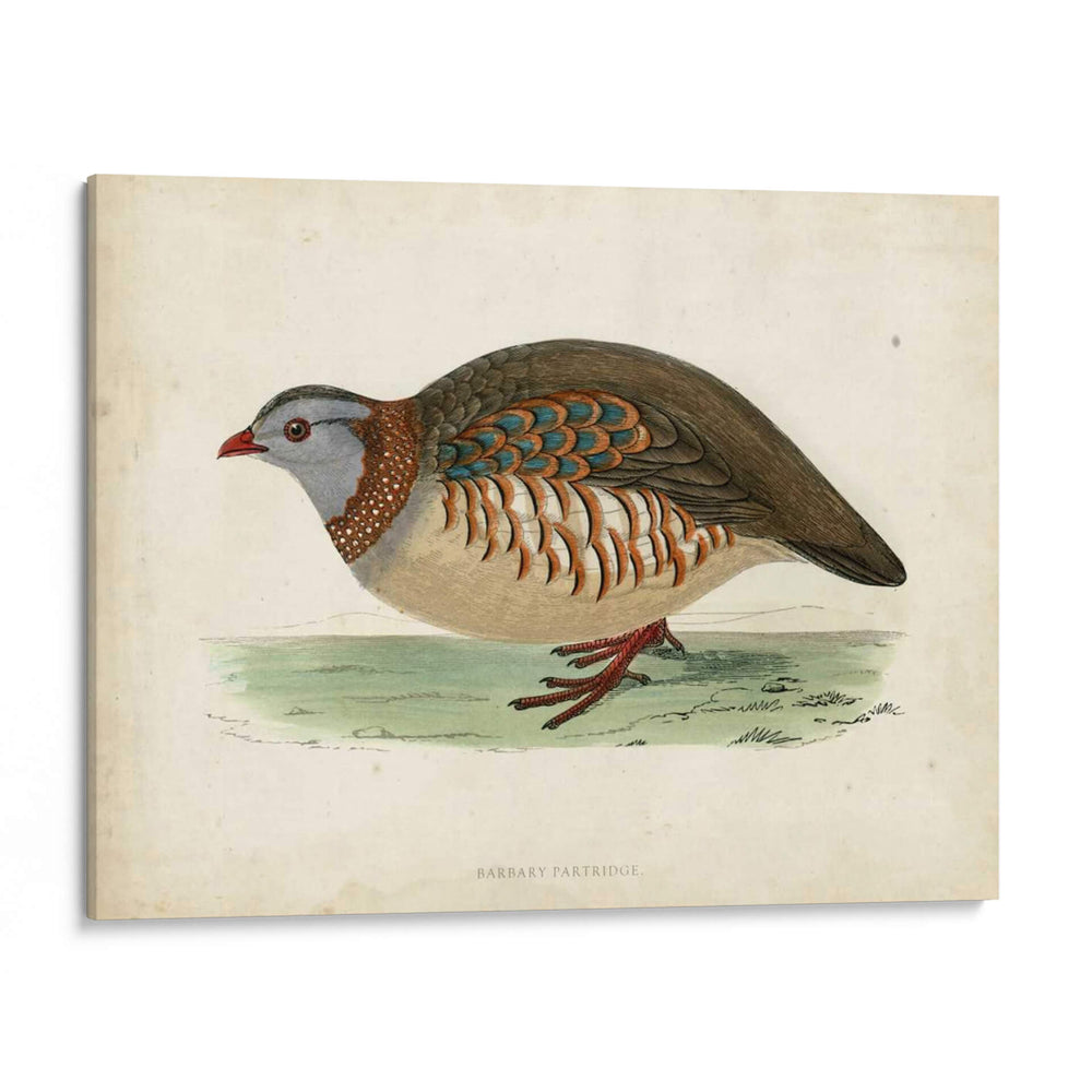 Morris Pheasants Iii - Morris | Cuadro decorativo de Canvas Lab