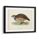 Morris Pheasants Iii - Morris | Cuadro decorativo de Canvas Lab