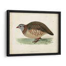 Morris Pheasants Iii - Morris | Cuadro decorativo de Canvas Lab