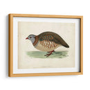 Morris Pheasants Iii - Morris | Cuadro decorativo de Canvas Lab