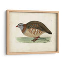 Morris Pheasants Iii - Morris | Cuadro decorativo de Canvas Lab