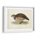 Morris Pheasants Iii - Morris | Cuadro decorativo de Canvas Lab