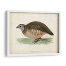 Morris Pheasants Iii - Morris | Cuadro decorativo de Canvas Lab