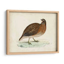 Morris Pheasants Iv - Morris | Cuadro decorativo de Canvas Lab