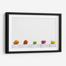 Cactus de colores | Cuadro decorativo de Canvas Lab