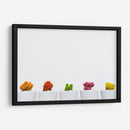 Cactus de colores | Cuadro decorativo de Canvas Lab