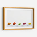Cactus de colores | Cuadro decorativo de Canvas Lab