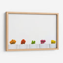 Cactus de colores | Cuadro decorativo de Canvas Lab