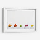 Cactus de colores | Cuadro decorativo de Canvas Lab