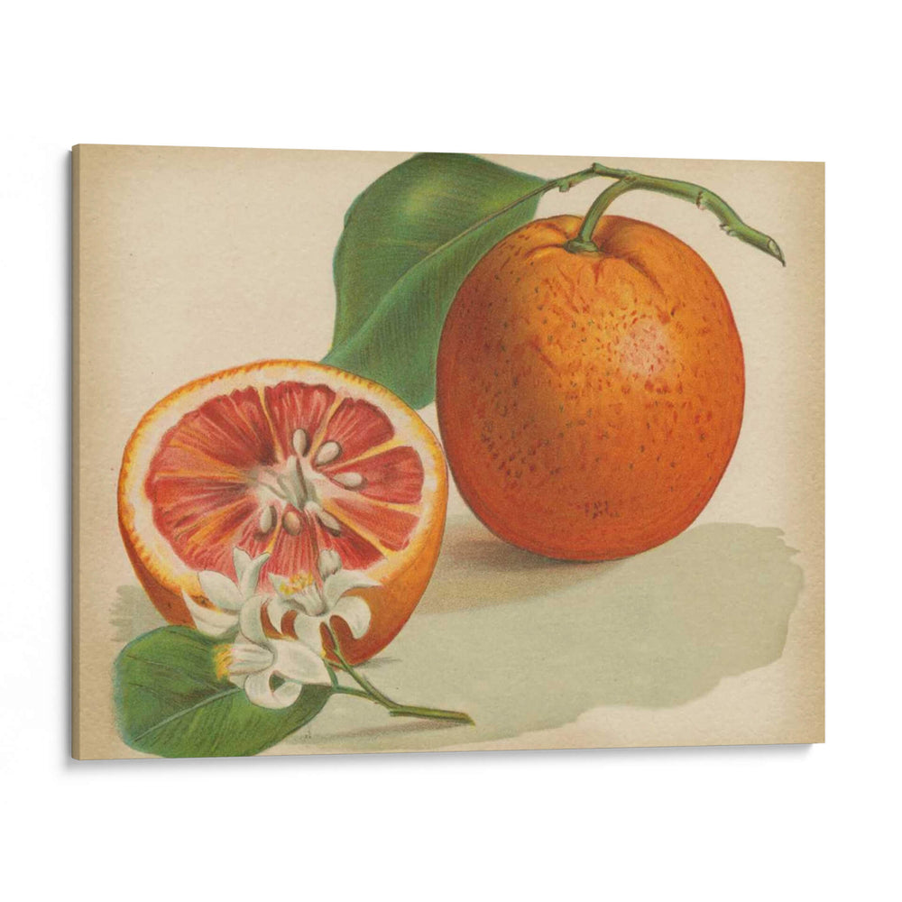 Estudio Naranja I | Cuadro decorativo de Canvas Lab