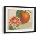 Estudio Naranja I | Cuadro decorativo de Canvas Lab