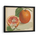 Estudio Naranja I | Cuadro decorativo de Canvas Lab