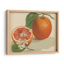 Estudio Naranja I | Cuadro decorativo de Canvas Lab