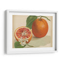 Estudio Naranja I | Cuadro decorativo de Canvas Lab