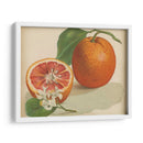 Estudio Naranja I | Cuadro decorativo de Canvas Lab