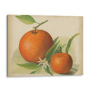 Estudio Naranja Ii | Cuadro decorativo de Canvas Lab