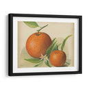 Estudio Naranja Ii | Cuadro decorativo de Canvas Lab