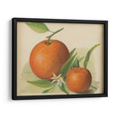 Estudio Naranja Ii | Cuadro decorativo de Canvas Lab