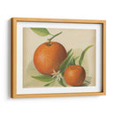 Estudio Naranja Ii | Cuadro decorativo de Canvas Lab