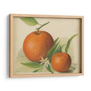 Estudio Naranja Ii | Cuadro decorativo de Canvas Lab