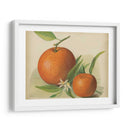Estudio Naranja Ii | Cuadro decorativo de Canvas Lab