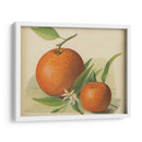 Estudio Naranja Ii | Cuadro decorativo de Canvas Lab