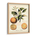 Frutas Toscanas Iii - Vision Studio | Cuadro decorativo de Canvas Lab