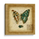 Postscript Butterfly Ii - Vision Studio | Cuadro decorativo de Canvas Lab
