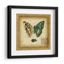 Postscript Butterfly Ii - Vision Studio | Cuadro decorativo de Canvas Lab