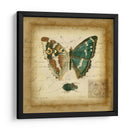 Postscript Butterfly Ii - Vision Studio | Cuadro decorativo de Canvas Lab