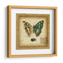Postscript Butterfly Ii - Vision Studio | Cuadro decorativo de Canvas Lab