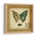 Postscript Butterfly Ii - Vision Studio | Cuadro decorativo de Canvas Lab