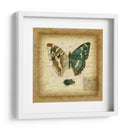 Postscript Butterfly Ii - Vision Studio | Cuadro decorativo de Canvas Lab