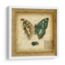 Postscript Butterfly Ii - Vision Studio | Cuadro decorativo de Canvas Lab