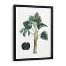 Palms Exóticos Iii - Vision Studio | Cuadro decorativo de Canvas Lab