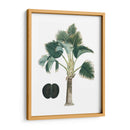 Palms Exóticos Iii - Vision Studio | Cuadro decorativo de Canvas Lab