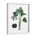 Palms Exóticos Iii - Vision Studio | Cuadro decorativo de Canvas Lab