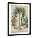 Palma Exotica I - Vision Studio | Cuadro decorativo de Canvas Lab